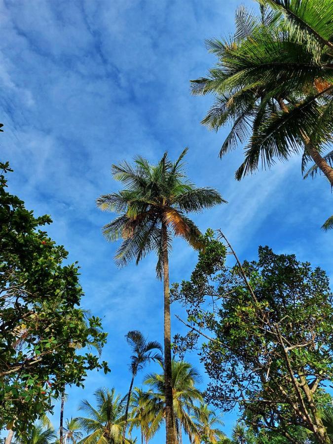 Apto Frente A Praia Das Pitangueiras - Centro Guarujá Extérieur photo